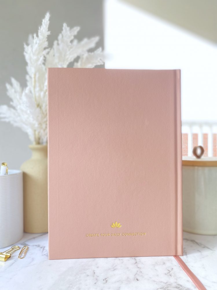 pink planner backview